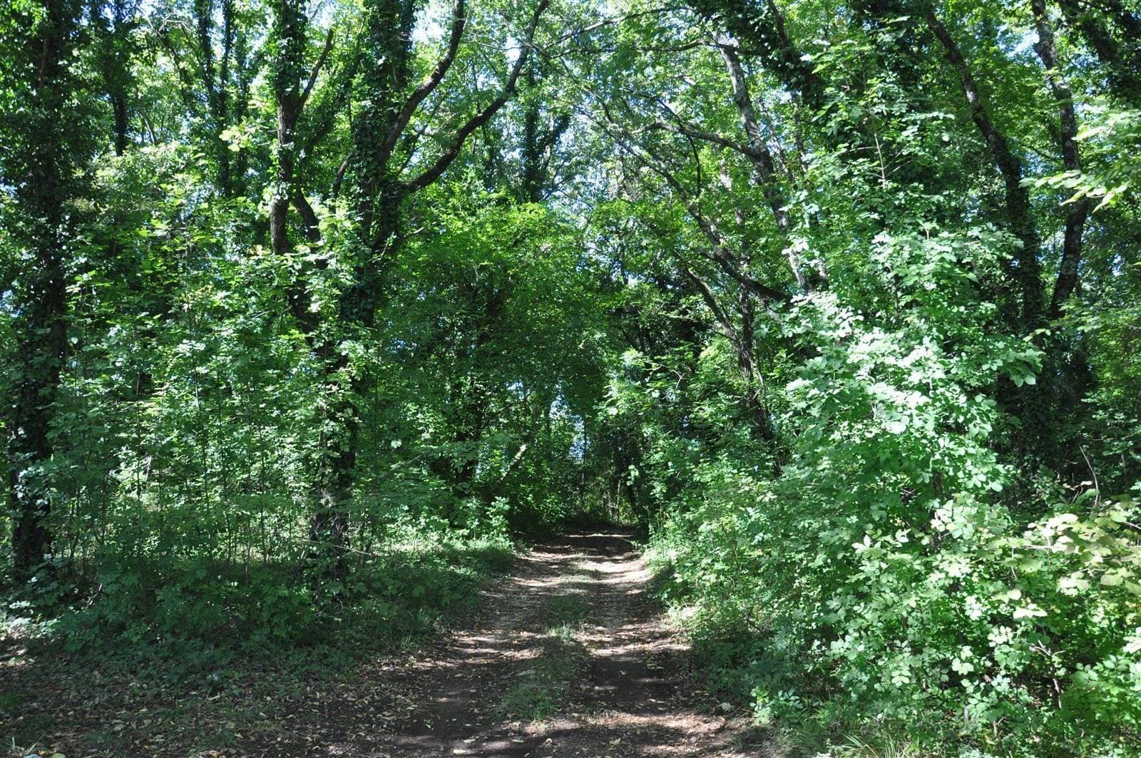 Organski vrt Vile Fabris